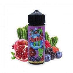 2x Grenade Cactus Berries 100ML