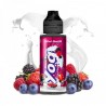 2x Mixed Berries 100ML