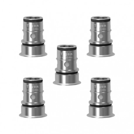 Résistances Tigon 0.4ohm (5pcs)