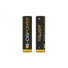 2x Accu EV21 21700 4000mAh