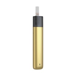 Kit Vilter 2 Pen - Gold