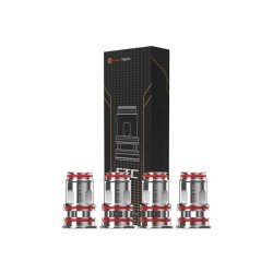 Résistances FTC 0.2ohm (4pcs)