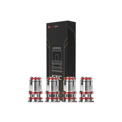 Résistances FTC 0.3ohm (4pcs)