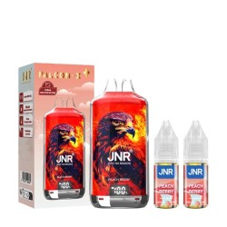 5 Pack de Falcon-X 28k 950mAh 18ml / 2% - Peach Berry
