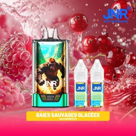 5 Pack de Gorilla X 43K 1000mAh 15ml / 2% - Wild Berries Ice