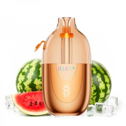5 Pack de Lila Kiss 46k+ 1000mAh 20ml / 2% - Watermelon Ice