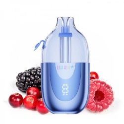 5 Pack de Lila Kiss 46k+ 1000mAh 20ml / 2% - Mr Blue