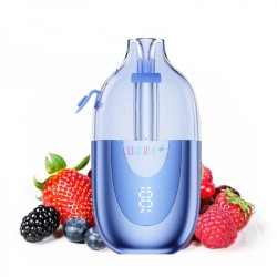 5 Pack de Lila Kiss 46k+ 1000mAh 20ml / 2% - Mixed Berries