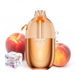 5 Pack de Lila Kiss 46k+ 1000mAh 20ml / 2% - Summer Peach Ice