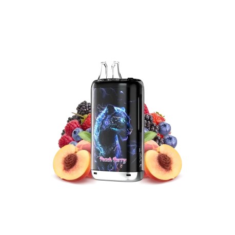 5 Pack de Kong Max 30K 1100mAh 20ml / 2% - Peach Berry