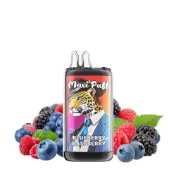 5 Pack de Leopard+ 40K 1100mAh 20ml / 2% - Blueberry Raspberry
