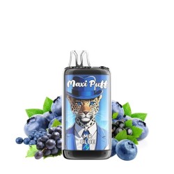 5 Pack de Leopard+ 40K 1100mAh 20ml / 2% - Mr Blue