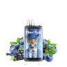 5 Pack de Leopard+ 40K 1100mAh 20ml / 2% - Mr Blue