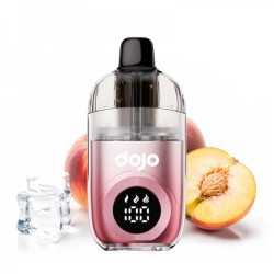 5 Pack de Dojo Blast 40K 1200mAh 2% - Pêche Glacée