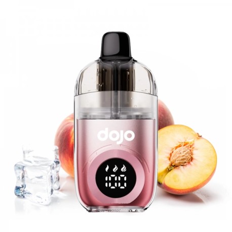 5 Pack de Dojo Blast 40K 1200mAh 2% - Pêche Glacée