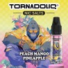 20x Peach Mango Pineapple 10ML