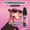 20x Strawberry Ice 10ML