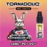 20x Raspberry Watermelon Ice 10ML