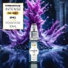 20x Intense Blueberry Ice 10ML