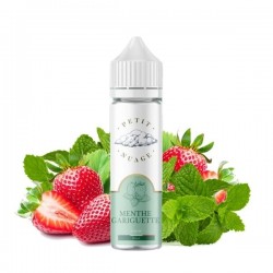 3x Menthe Gariguette 50ML