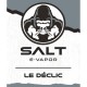 10x Salt E-Vapor Le Déclic 10ML