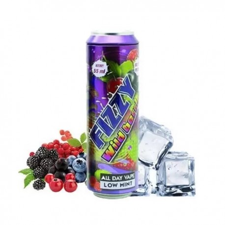 2x FIZZY JUICE Wild Berries 55ML