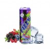 2x FIZZY JUICE Wild Berries 55ML